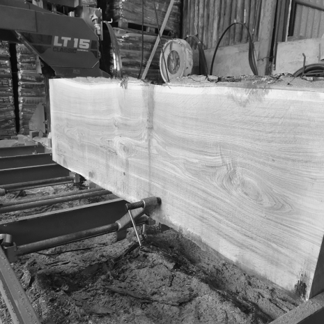 dubova_fosna_cb dubová fošna - výroba na Pile Hvozdnice